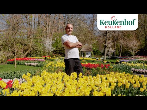 Gardener Huseyin takes you to the Traditional Gardens 🌷- Keukenhof Virtually Open