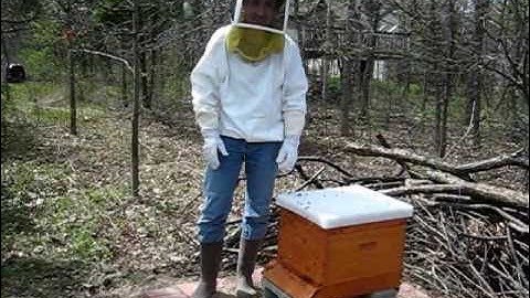 Backyard Beekeeping Part 1(S1:E1): Hiving the Bees