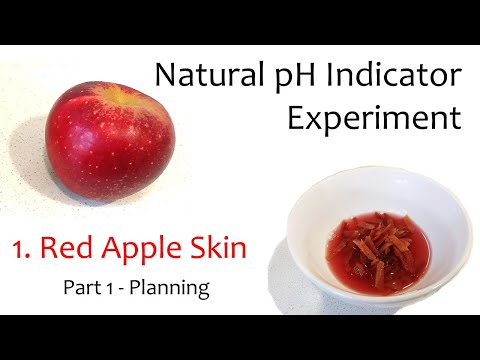 Natural pH Indicator - Red Apple Skin (part 1 of 3)