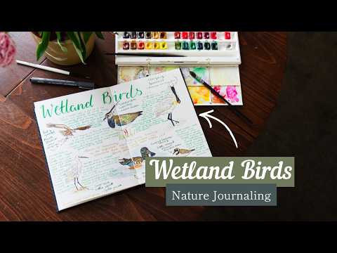Wetland birds and brush lettering in my Nature Journal