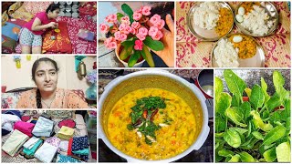 Dailyvlog //పాలకూరని కోద్దాం రండి  spinach harvesting //mixed dal recipe //evening to night routine