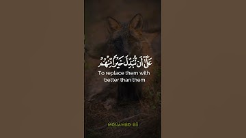 كلا إنا خلقناهم مما يعلمون // ما تيسر من #سورة_المعارج -الآية 39 🎧🎧
