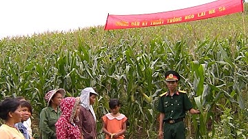 Tin Tức 24h: Đổi mới và nâng cao hiệu quả công tác dân vận