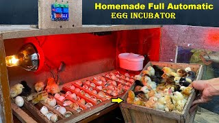 How to make Full Automatic Egg Incubator At  home - Hatch 100 CHICKS