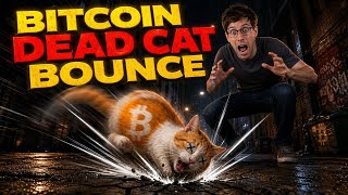 Bitcoin's Dead Cat Bounce
