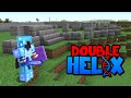 Double Helix Stream #4
