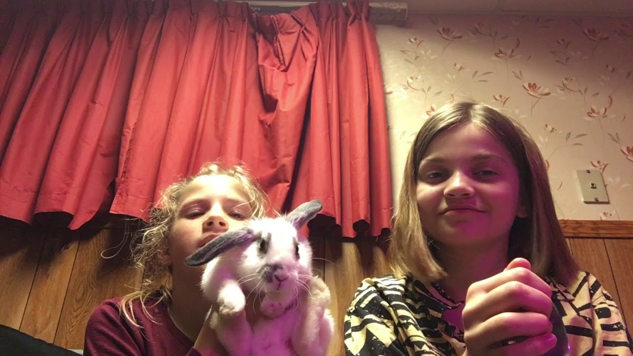 Our first vid!🐰 - YouTube
