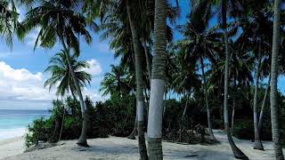 Nature For WhatsApp Status Video, Beautiful Music, Drone Shot, 21 Second Short Video | Lavish Nature screenshot 3