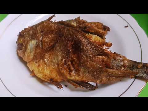 Mujair Goreng Gurih Renyah Youtube