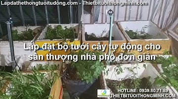 Hướng dẫn lắp đặt bộ tưới cây tự động tưới hoa lan, khay rau, cây cảnh trên sân thượng ban công