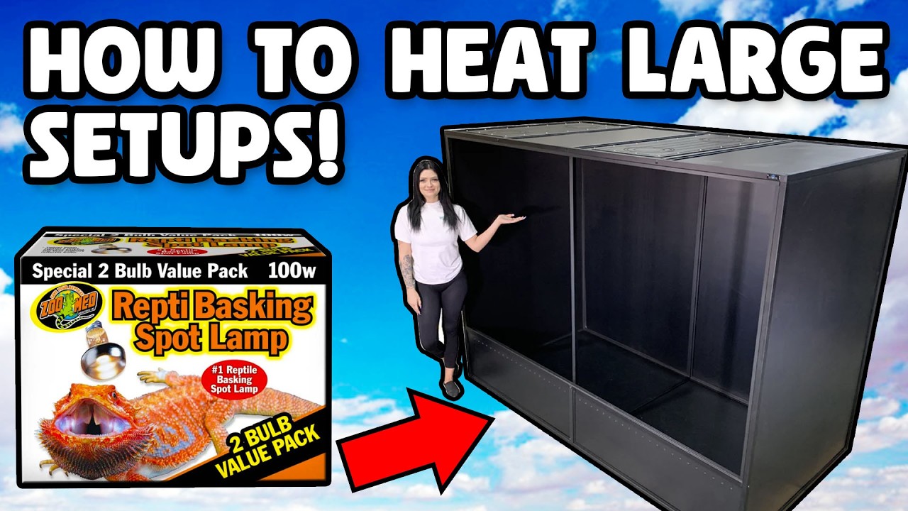 How To Heat a Large Reptile Enclosure!