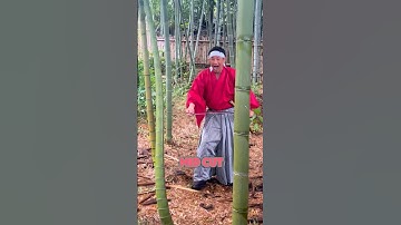 Het geheim achter Katana Cuts