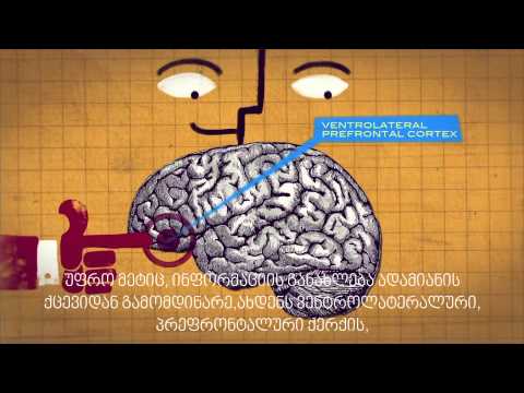 შეგვიძლია ვენდოთ პირველ შთაბეჭდილებას ?