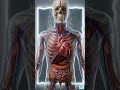 What Happens to Your Body in 30 Days of Cold Showers [Real Science]#ytshorts #ColdTherapy #usashorts