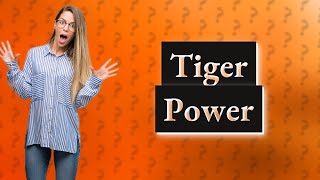 What is the strongest big cat? by QNA w/ Zoey No views 32 minutes ago 27 seconds