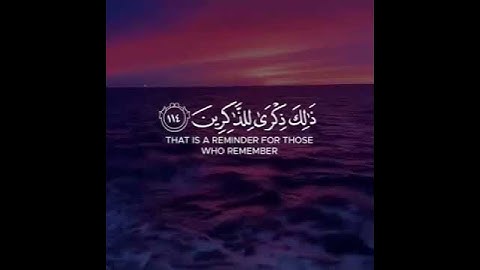 آيه 114-115 من سورة هود بصوت الشيخ ماهر المعيقلي