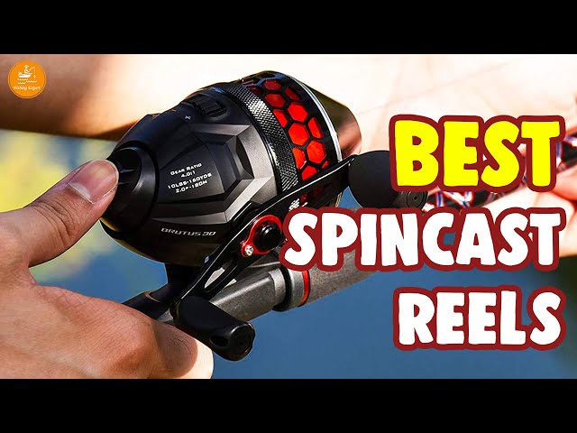 Best Spincast Reels – Buyer's Guide and Reviews! 