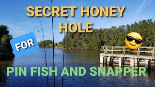 My Secret Honey Hole For Pinfish And Snapper! Port Canaveral Jetty, Mosquito Lagoon Fishing