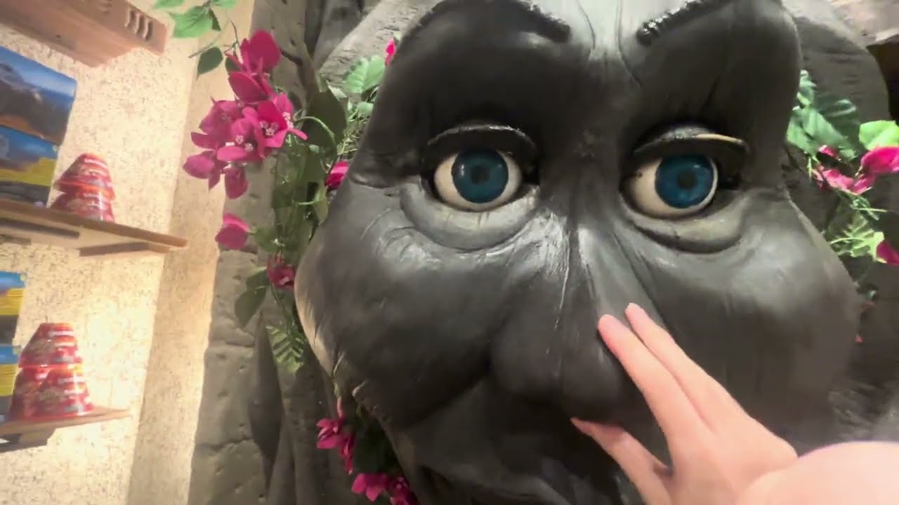 Rainforest cafe Tracy tree 