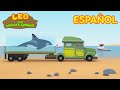 Leo, El Explorador Episodio #150 - La Orca (Español)