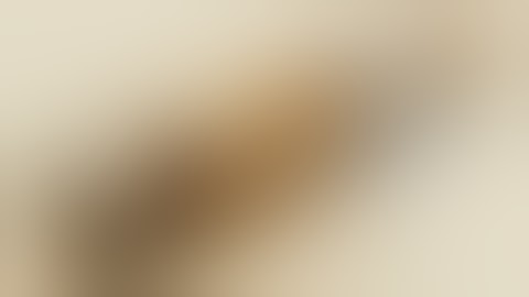 Stingray Mechanical Mod Review (Clone) from AngelCigs.com