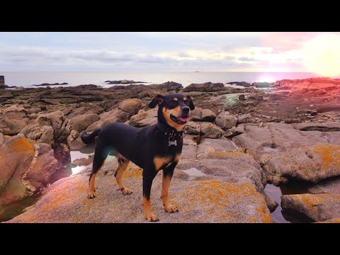 Peace of mind - Ramiro Schiavoni