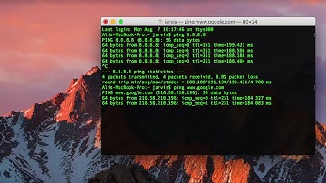 how to ping ip address on mac