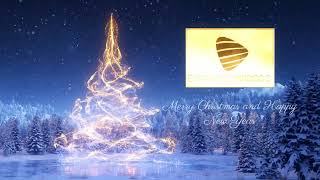 Merry Christmas Happy New Year From Expansionvideos.com