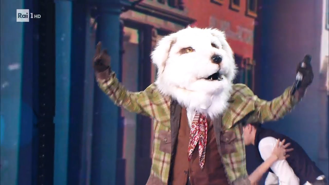 Pastore Maremmano canta 