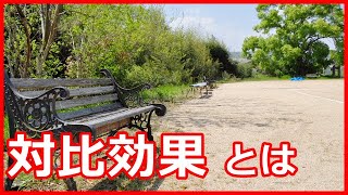 対比効果 とは