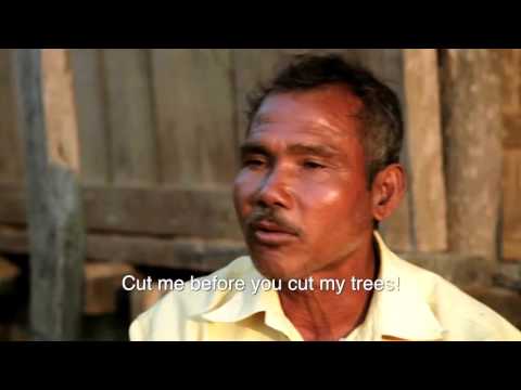 Forest Man Of India (Rap Summary)