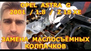 видео: Замена маслосъемных колпачков без снятия головки. Замена сальников клапанов. Как рассухарить клапана картинка: Замена маслосъемных колпачков без снятия головки. Замена сальников клапанов. Как рассухарить клапана
