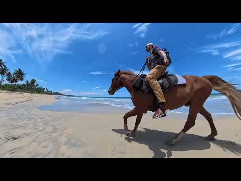 Dominican Republic 2026 Travel Film