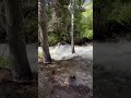 Salt Lake City after math of 2023 snow fall #nature #asmr #hiking #utah #travel #waterfall