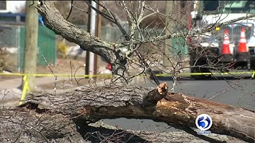 VIDEO: Wind damage clean-up continues in greater Hartford area