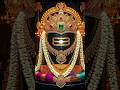 #omnamahshivaya 🙏🌺#ஓம்நமச்சிவாய 🙏🌺💐🌹