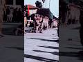 Turkey's Military Power Unleashed | Parade Action &amp; Elite Skills #türkaskeri #turkisharmy #asker