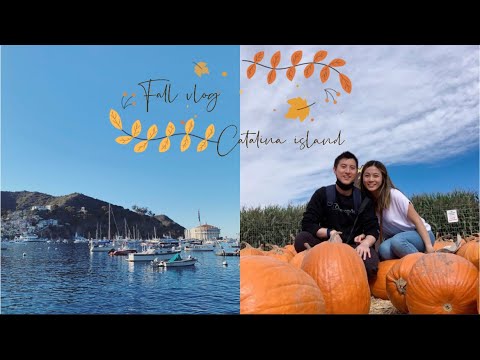 VLOG 10 | Pumpkin patch, fall activities, Catalina Island