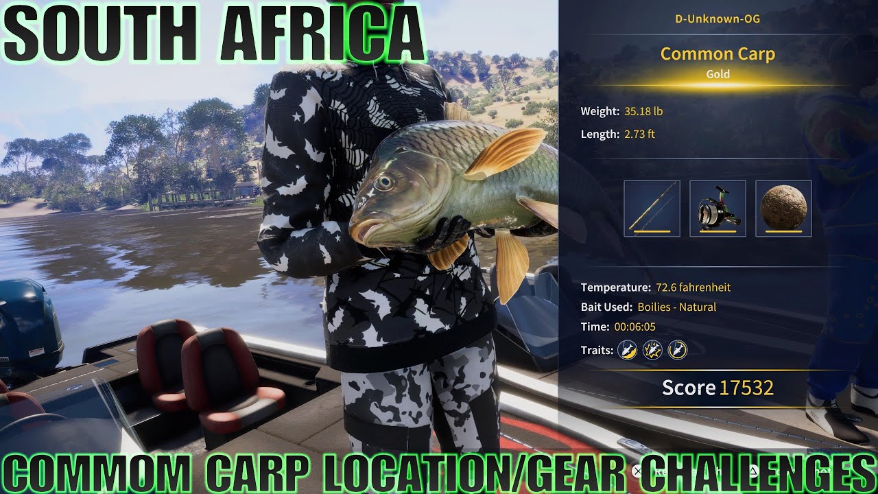 Common Carp Location And Gear Challenges Guide - South Africa - Call Of ...
