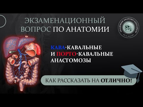 Видео: Где формируются портосистемные анастомозы?