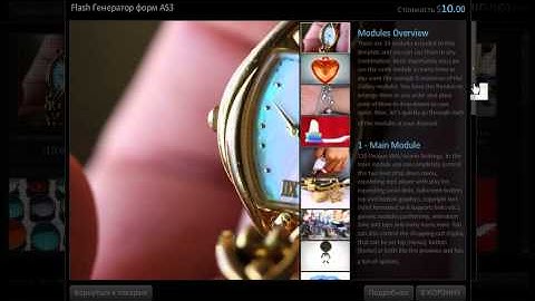 advanced paypal shop