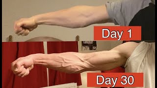 How I got Vascular Forearms in only 30 Days !