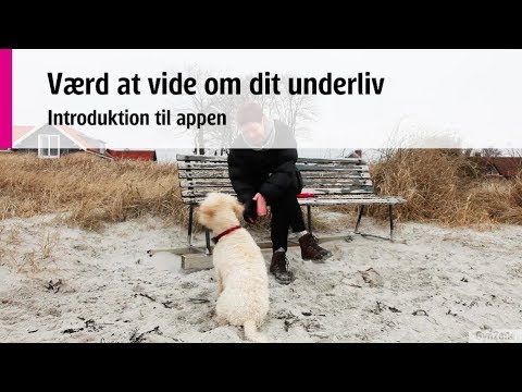 Video: Smerter Ved Vandladning Hos Kvinder