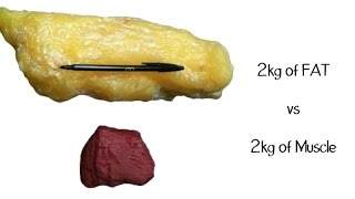 Почему вес стоит, а объемы уходят? и Наоборот.http://okaybeauty.ru/(Ответ на вопрос многих худеющих: 