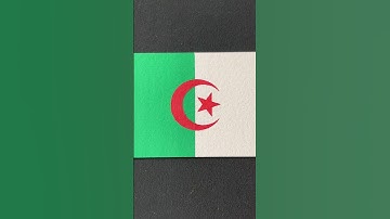 flag Algérie 🇩🇿#flagdrawing #flag #diy