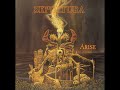 Sepultura  altered state  arise  1991  thrash metal  lyrics