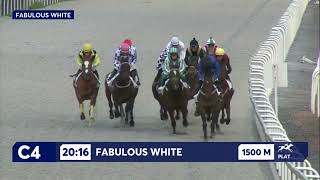 Vidéo de la course PMU PRIX FABULOUS WHITE