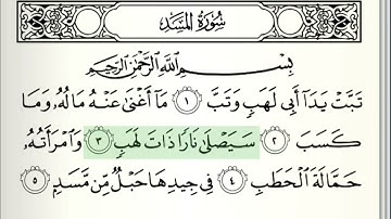 111 سورة المسد || الشيخ .ايمن رشدي سويد