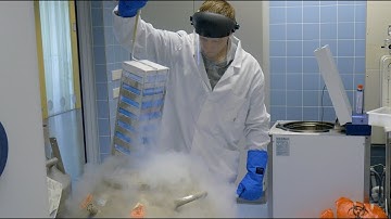 Developing vascularized tissue