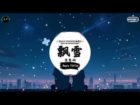 飘雪 (抖音DJ版) - 陈慧娴『又见雪飘过 飘于伤心记忆中，让我再想你 却掀起我心痛。』♪ || 抖音最火歌曲音 | 抖音 TikTok ♪